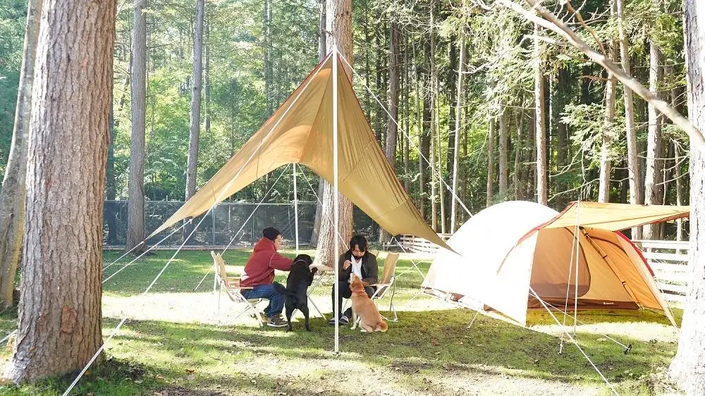 DOTEKAGE CAMP GROUND 利用チケット3,000円分
