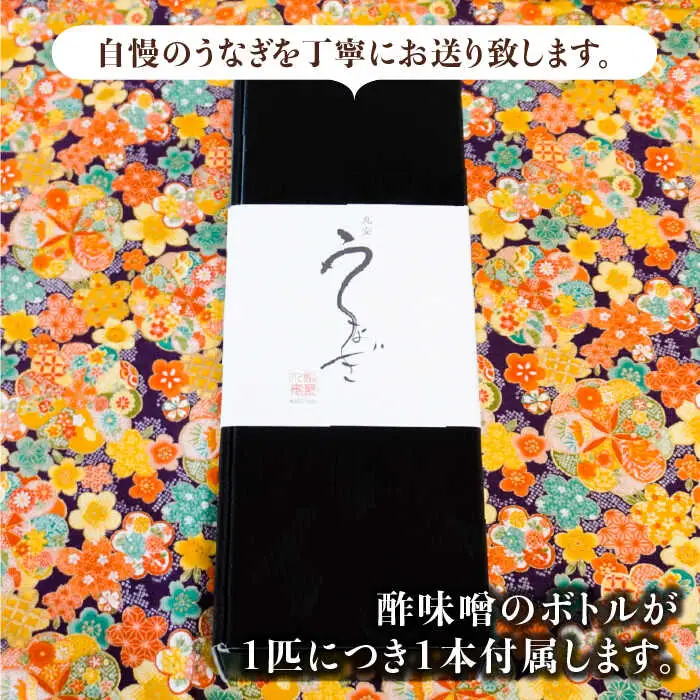 ふっくらジューシーのこだわりうなぎ【6回定期便】国産うなぎの白焼 6枚セット×6回[FAD019]