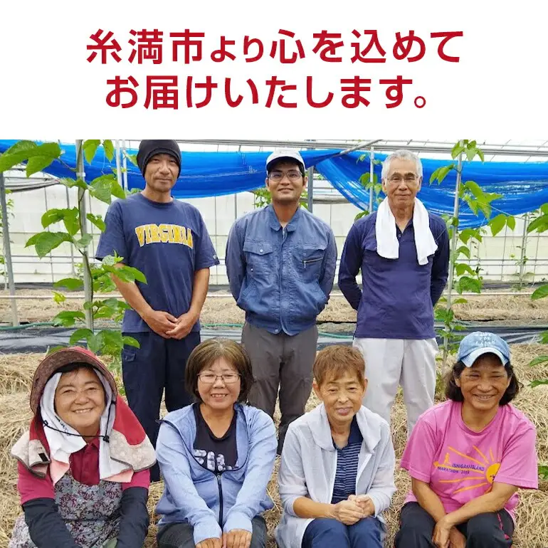 【 期間限定 2027年 発送】 糸満産 糸ちゃん パッションフルーツ 訳あり 3kg 数量限定 沖縄 家庭用 訳アリ 訳あり品 甘味 酸味 追熟 フルーツ 果物 トロピカル 南国 スイーツ デザート βカロテン ビタミン 葉酸 国産 沖縄県 糸満市 104-1