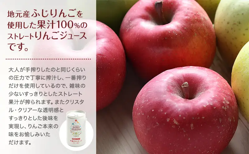 ジュースセット sonomamaりんご赤ぶどう ジュースセット【160g×10本】