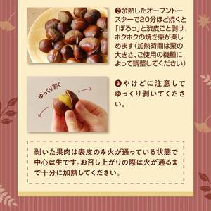 【期間限定】低温貯蔵 東美濃ぽろたん（生栗）東美濃農業協同組合【発送日10月末～12月上旬】 F4N-1960