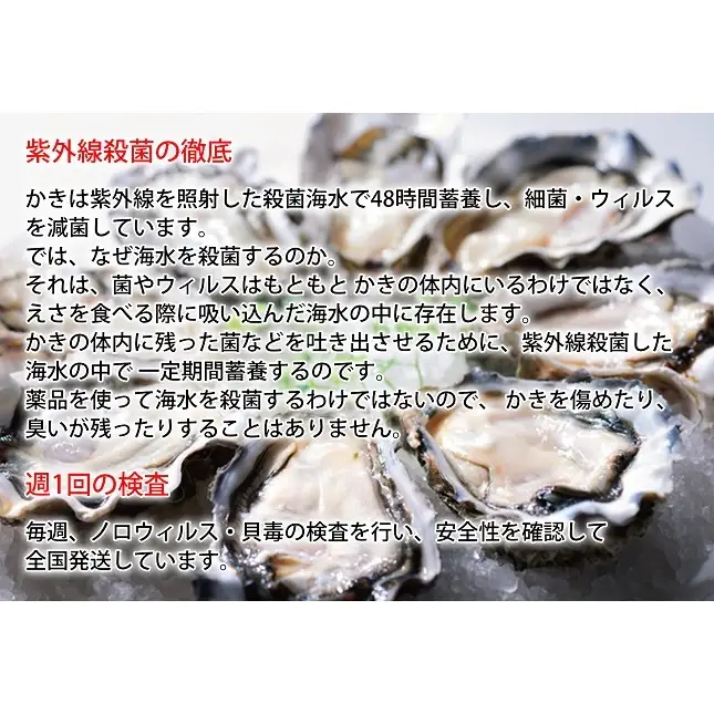牡蠣 LLサイズ 12個 厚岸産 ブランドかき カキえもん 牡蠣