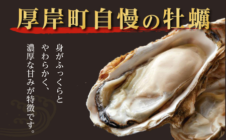 北海道 厚岸産 殻かき 三種 食べ比べ プレミアムセット 殻付き 牡蠣
