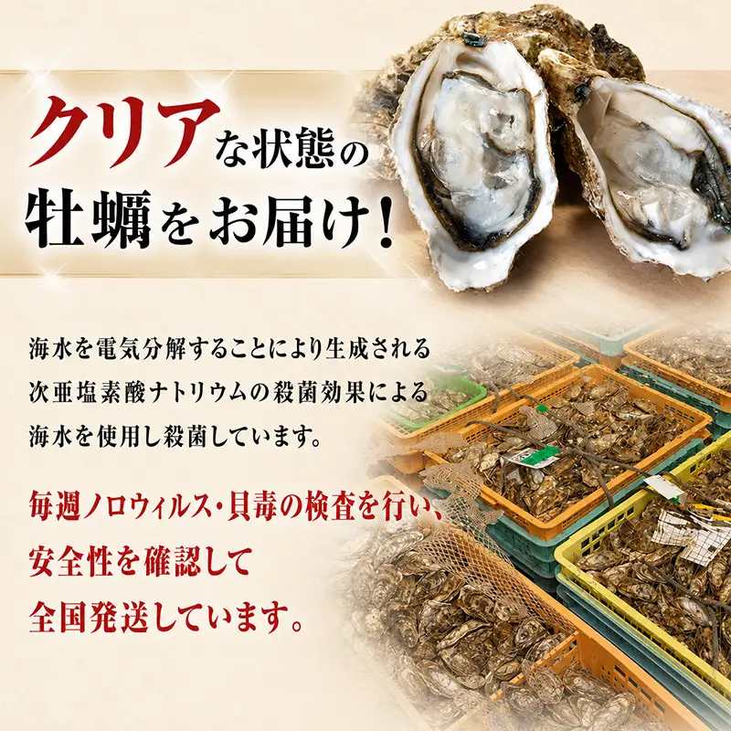 【4月発送 他月は別ページ】 牡蠣 厚岸産 訳あり 約4kg 生 牡蠣