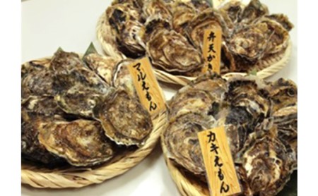 4ヵ月定期便 厚岸産牡蠣 3種食べつくしセット ブランド牡蠣