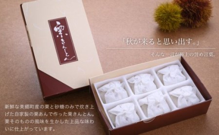 和菓子 栗きんとん 6個入 × 2箱