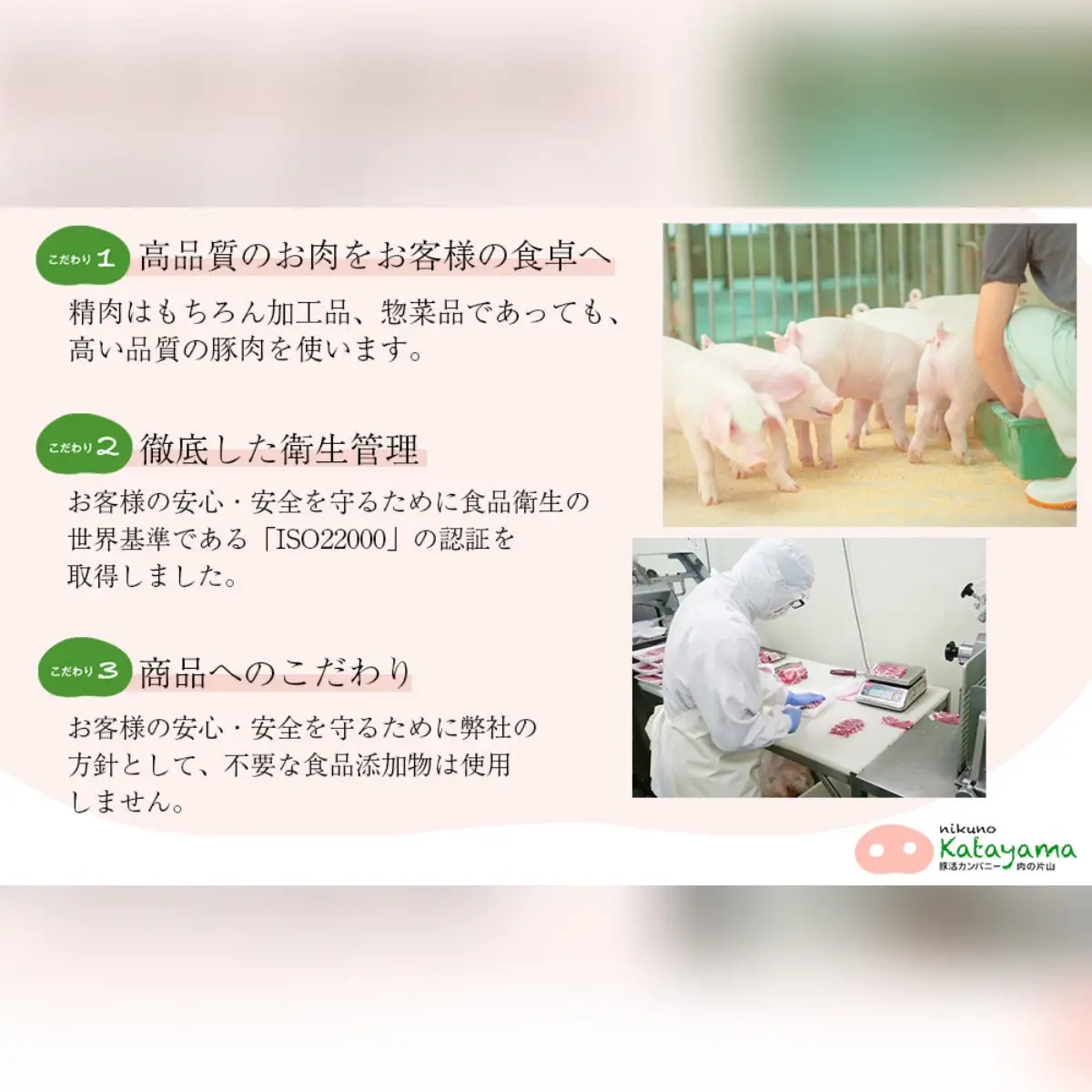越後もちぶたしゃぶしゃぶセット｜もちぶた