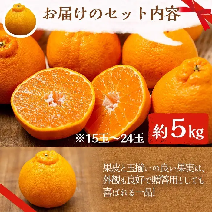 ＜先行予約受付中！2027年1月中旬以降順次発送予定＞ 阿久根市で生まれたオリジナル品種「大将季」(約5kg・15～24玉) 果物 フルーツ 柑橘 果実 ハウス栽培 ギフト 【鹿児島いずみ農業協同組合】akn018-22