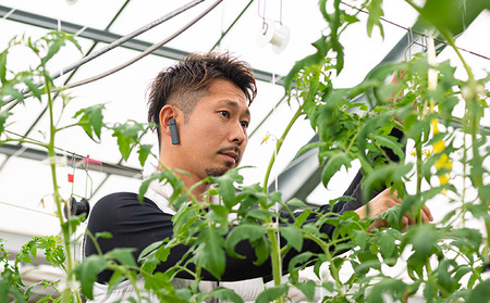 トマトジュースセット 3種 飲み比べ 野菜飲料 トマトジュースセット【1L×3本】