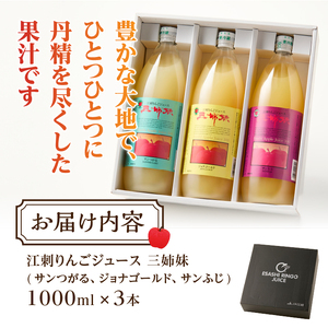 江刺りんごジュース 三姉妹(1000ml瓶 × 3本) [A0007]