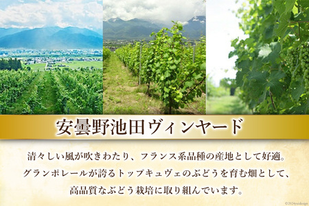 ワイン セット サッポロ グランポレール 安曇野池田ヴィンヤード 6種 各750ml×1本 計6本 飲み比べ