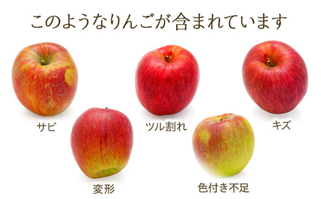訳あり りんご あいかの香り 約5kg セット 2026年 令和8年度発送分 リンゴ 林檎 長野 フルーツ 果物 信州産 長野県産 特産 産地直送 家庭用 おすすめ
