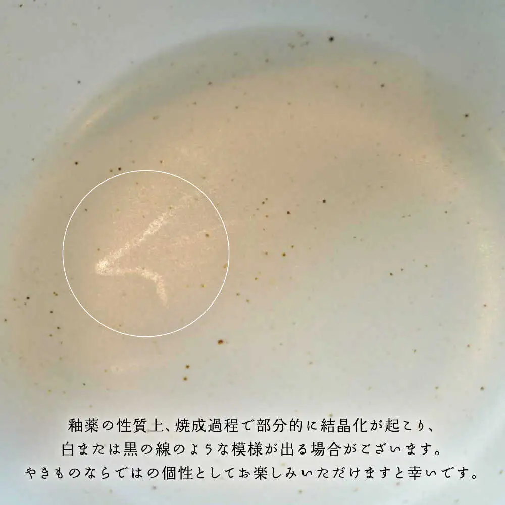 【波佐見焼】easy don どんぶり ユキオコシ 2個セット どんぶり 丼 ボウル 食器 どんぶり 丼 皿【ZOE・一誠陶器】 [VE22]  波佐見焼