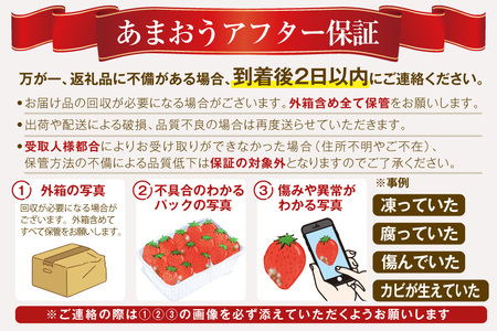 いちご あまおう 春 8パック いちご