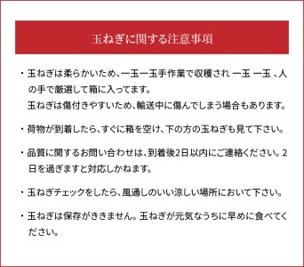 (2027年発送)訳あり 新玉ねぎ 定期便 5kg×4回　生がおいしい 神重農産のブランド玉ねぎ「旬玉」 ブランド玉ねぎ 玉ねぎ 新玉ねぎ 国産 愛知県産 野菜 やさい 農家直送 畑直送 旬 たまねぎ 先行予約 旬 特産 高評価 高リピート 人気 H105-188