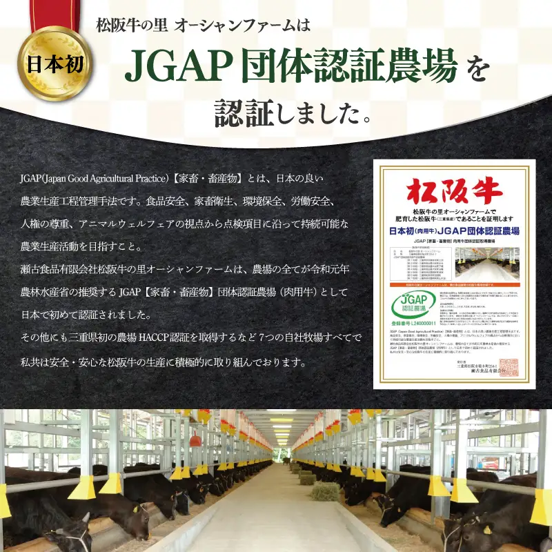 松阪牛 牛すじ煮込み(白みそ) どて煮松阪牛 I87