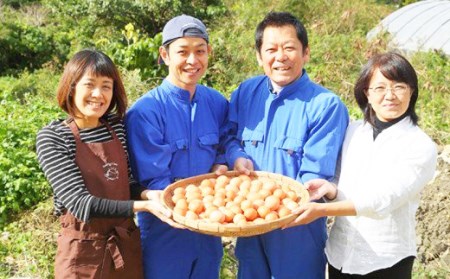 美ら卵養鶏場のぴよぴよシフォン 9個入り