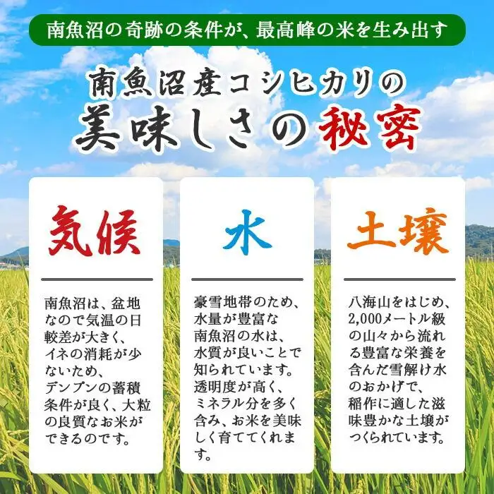 【ふるなびWEEK対象】【令和7年産】 新潟県 南魚沼産 コシヒカリ お米 5kg 精米済み（お米の美味しい炊き方ガイド付き）
