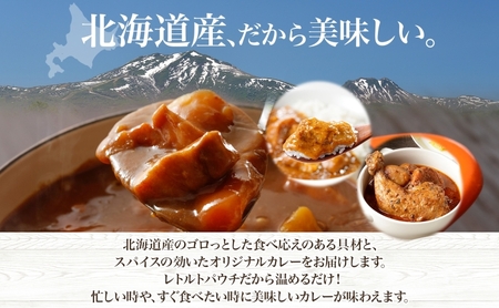 チキンレッグスープカレー 北海道 倶知安 中辛 チキンレッグスープカレー【計3個】