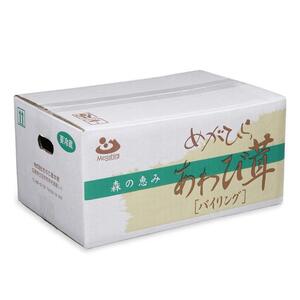 香り舞茸とあわび茸セット