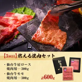 【定期便3回】仙台牛～贅沢食べ比べセット