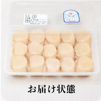 宮城県産 生食用 生ホタテ貝柱（500g/約15個〜18個入り）冷蔵 帆立 ほたて 貝 魚介 海鮮 刺身 生食 生ほたて 生帆立 宮城県 石巻市 宮城 石巻