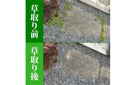 お墓参り代行／仏花・写真報告付