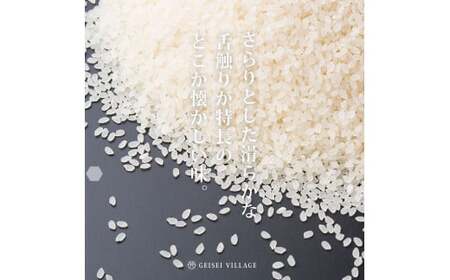 先行受付 令和8年産 新米 コシヒカリ 15kg
