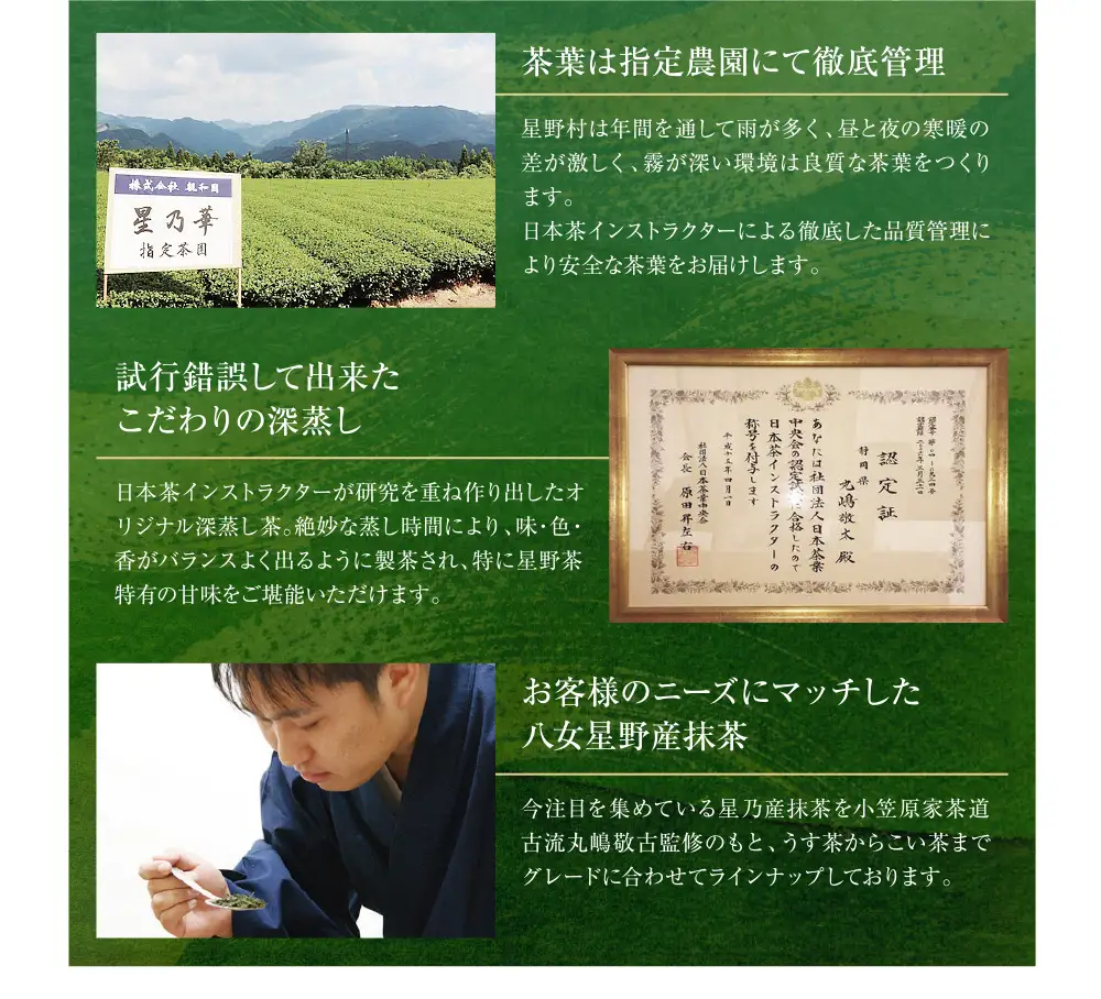 Z26-14 八女星野産【訳あり】 和紅茶2g×100個 訳あり