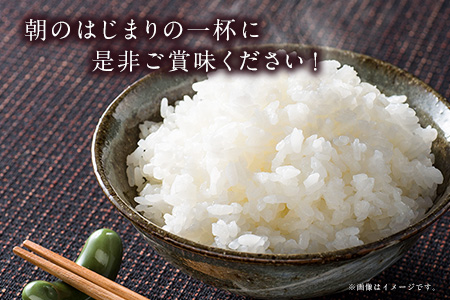 令和7年産 矢護川清流そだち(くまさんの輝き) 5kg 大津町矢護川おいしい米作り研究会 お米 熊本県 大津町《60日以内に出荷予定(土日祝除く)》