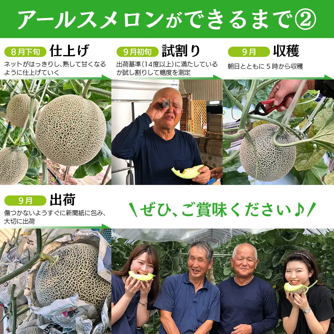 【2026年8月下旬発送開始】 季節 限定 ！ 甘さ満点 特大 アールスメロン 1個 箱 果物 フルーツ 農家直送 産直 青肉メロン 特産品 マスクメロン メロン くだもの 茨城 [BC005sa]