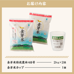 金芽米特別栽培米農林48号 4kg(2kg×2) 無洗米 専用計量カップ付き  [h151]