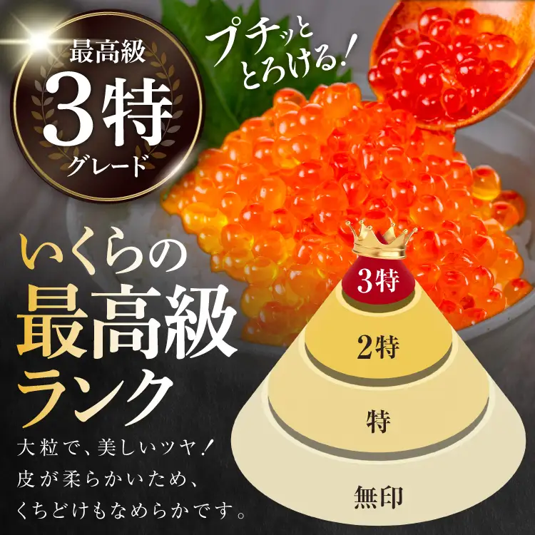 【14日以内に発送】【TVで紹介！】最高級3特 国産 味付 いくら 宝壽 醤油漬 120g×1 