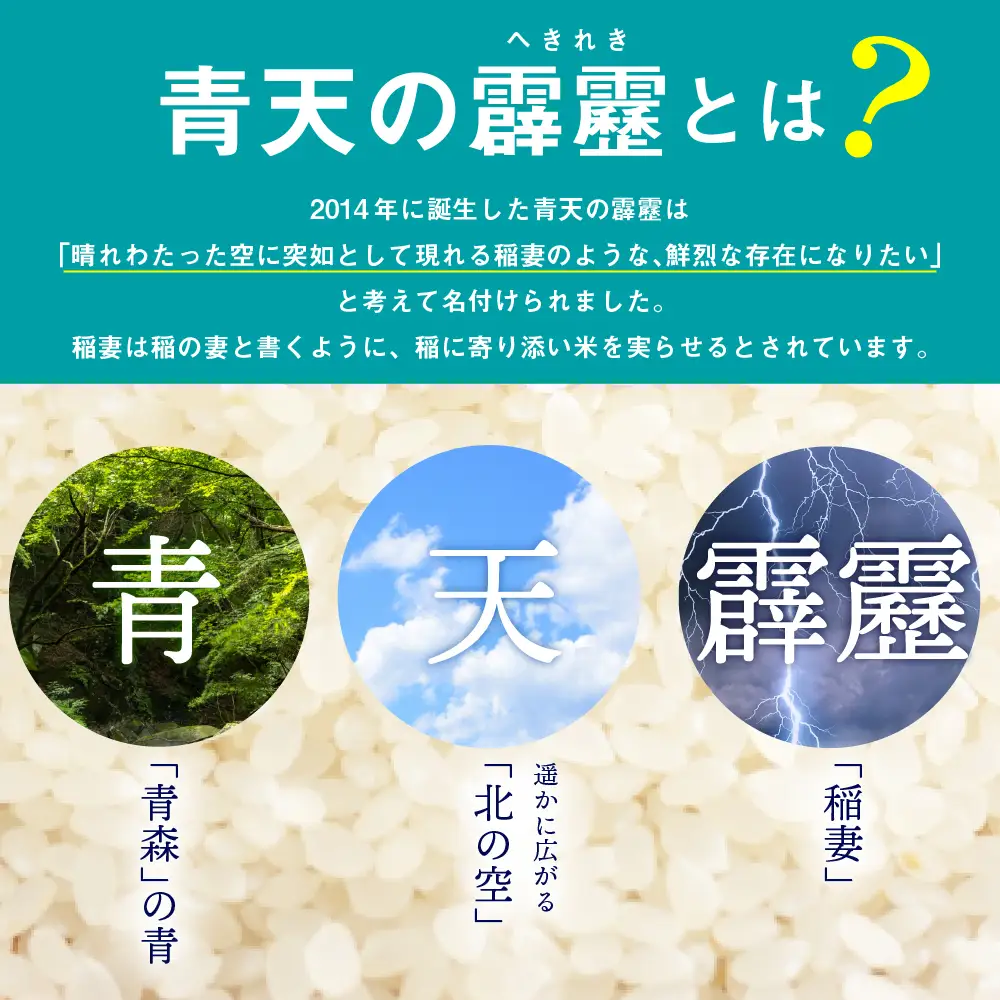 青天の霹靂 5kg 定期便6ヶ月 令和7年産米 精米 特A 晴天の霹靂
