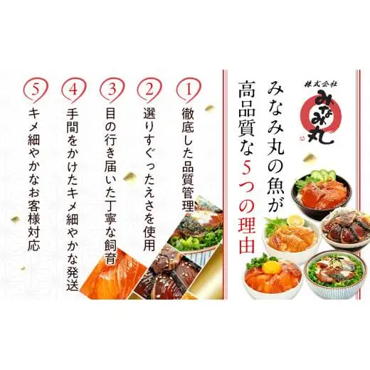 【 海鮮丼 】 海鮮丼 5種 2p