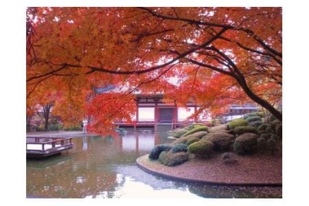 【43-01】久安寺 座禅・写経体験