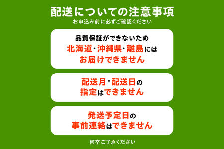 ふるーつ物語「越冬完熟みかん」約3kg(30～50個入り)