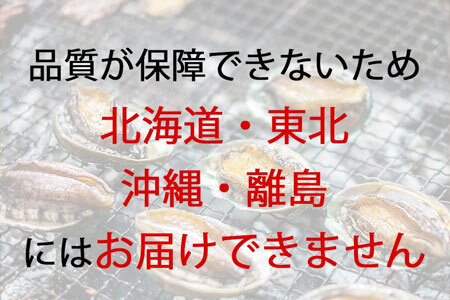 【配送不可地域:北海道・東北・沖縄県・離島】オリーブあわび 約1kg(10～12個程度)