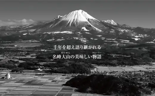 ＜大山物語＞大山どり鍋セット（3~4人前）