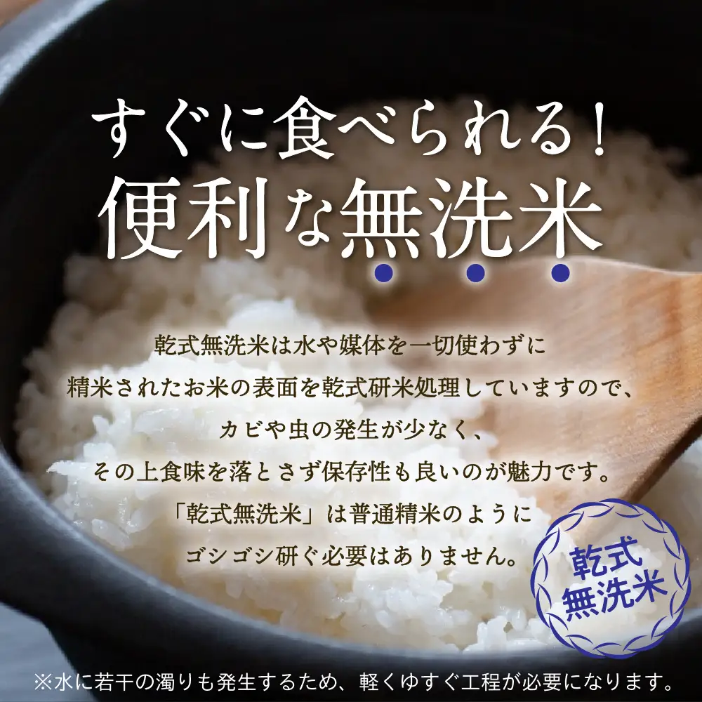 【定期便 5ヶ月】 無洗米 10㎏ 青森県産 まっしぐら （精米）