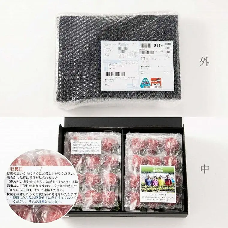 【2027年1～4月出荷分予約販売】たっぷり2倍の量武下さんちの「完熟あまおう」3Lサイズ 900g あまおう