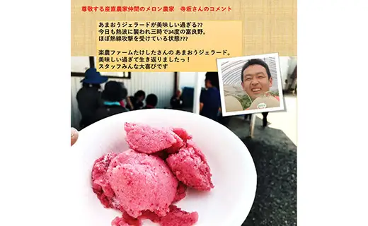 武下さんちのあまおうジェラート 6カップ 濃厚 3～4名様向け ギフト 苺ジェラート