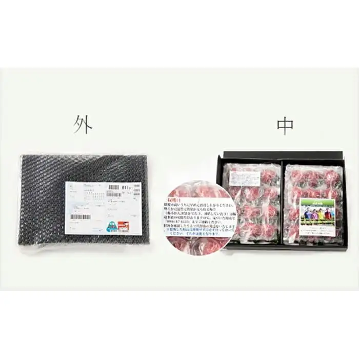 【2027年1～4月出荷分予約販売】武下さんちの「完熟あまおう」3Lサイズ 450g 産直 あまおう