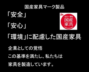 ENN 60 キャビネット オープン WN