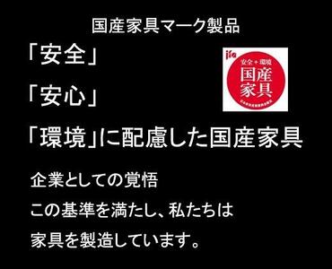 ENN 60 キャビネット 引出 WO