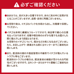 【先行予約】【アフター保証】大粒セレクト！大人気のあまおう 250g×4パック【1月～2月上旬発送】【JAほたるの里】 _HA0274