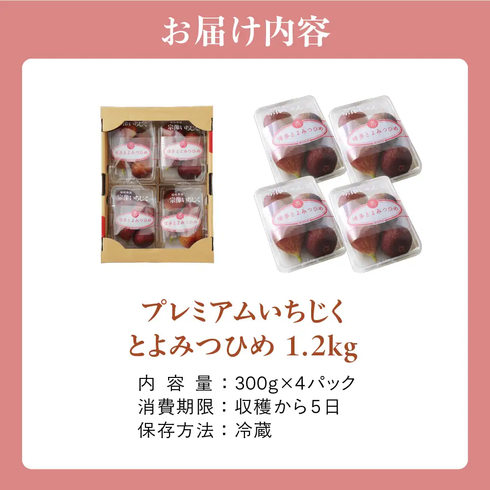 【寄附額改定!】プレミアムいちじく とよみつひめ　1.2kg【JAほたるの里】_HA0278 | いちじく 果物 