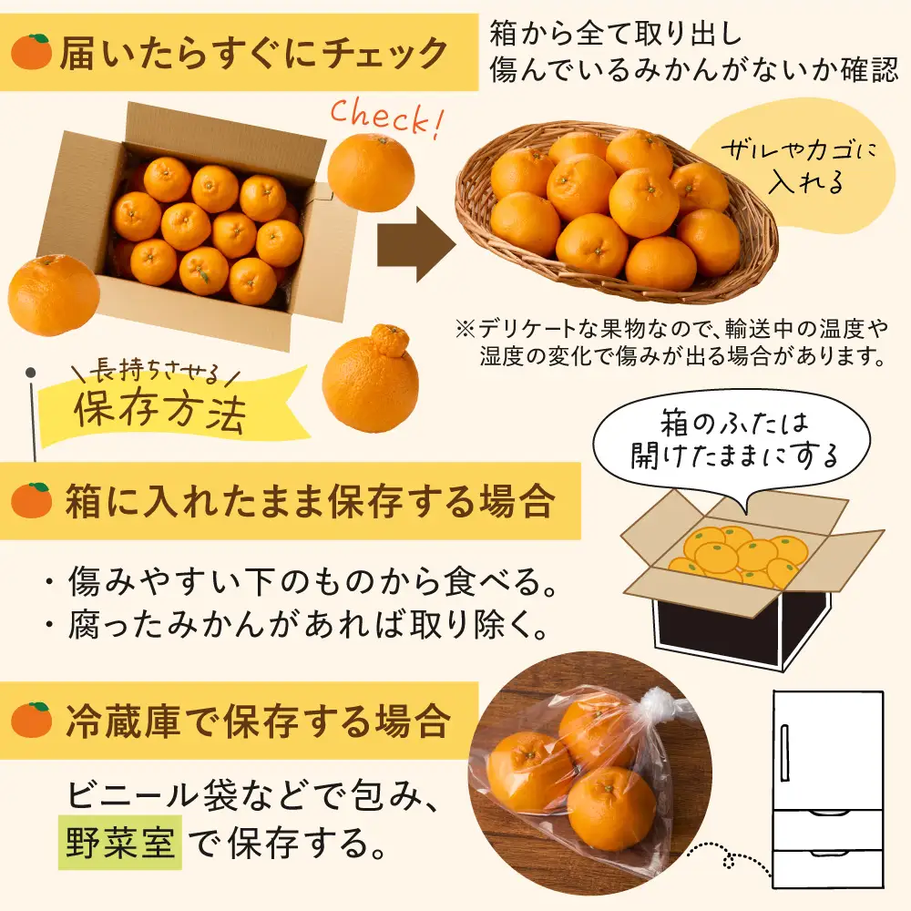 ＜2027年1月～4月上旬発送＞JAむなかたかんきつ部会が厳選したみかん（中晩柑）計5kg【JAほたるの里】_AS0280-00