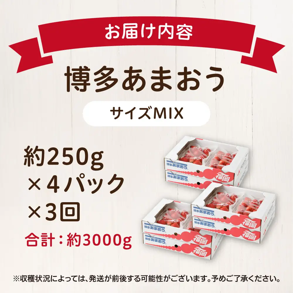 【定期便／3ヶ月連続お届け】大人気のあまおう 250g×4パック 計3回 総量3.0kg 3ヶ月定期便 福岡県産いちご【JAほたるの里】_HB0032
