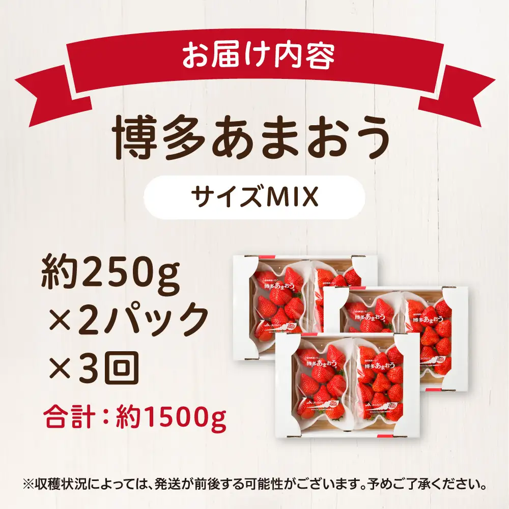 【定期便／3ヶ月連続お届け】博多あまおう 約250g×2パック 計3回 総量1.5kg 3カ月定期便【ほたるの里】_HB0075